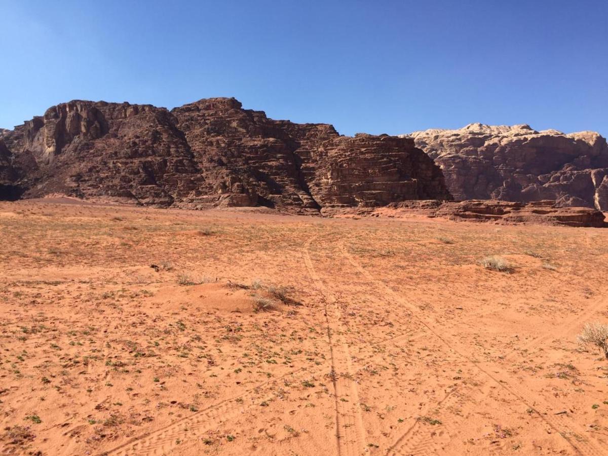 Wadi Rum Bedouin Experience ภายนอก รูปภาพ