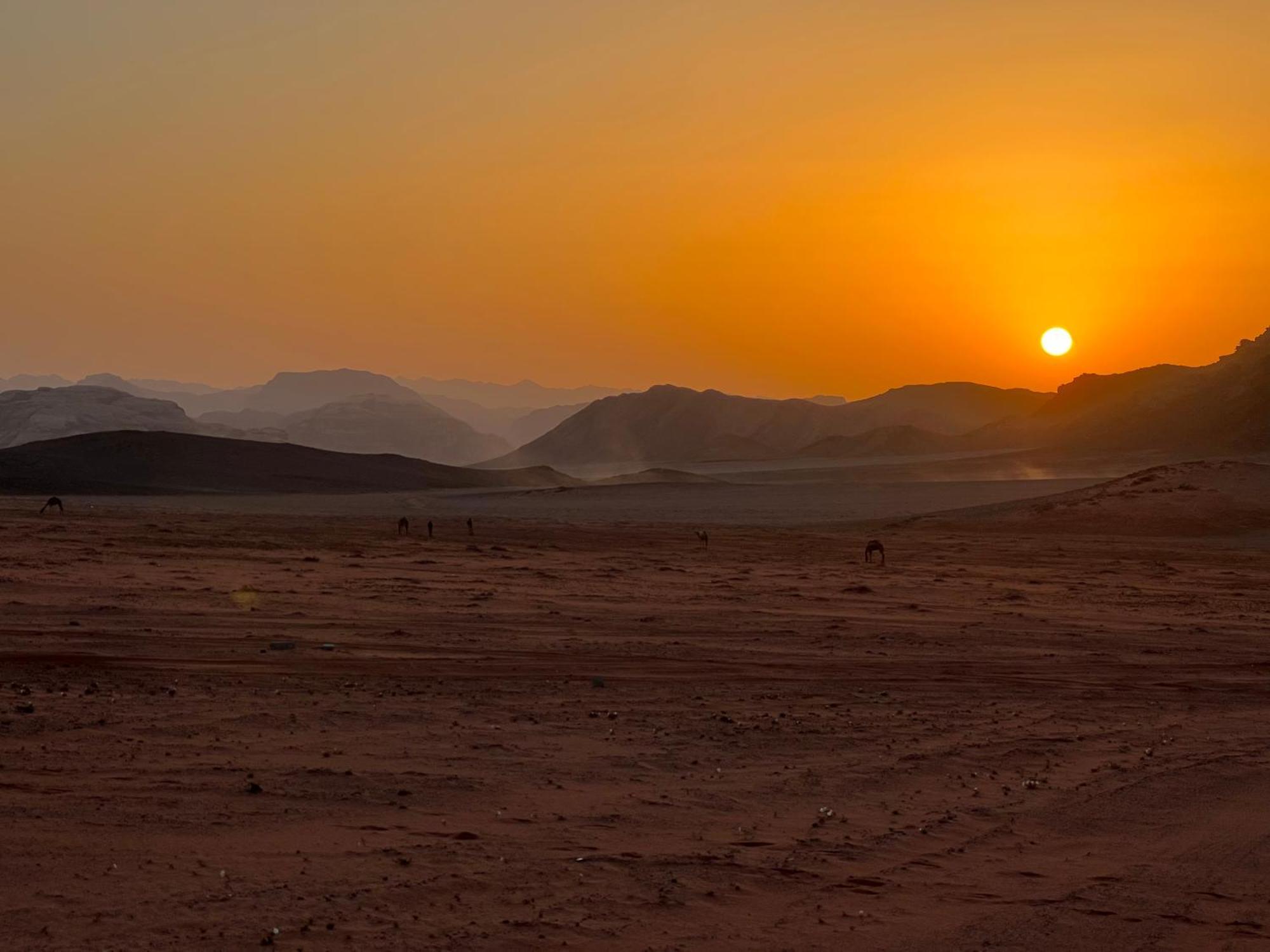 Wadi Rum Bedouin Experience ภายนอก รูปภาพ