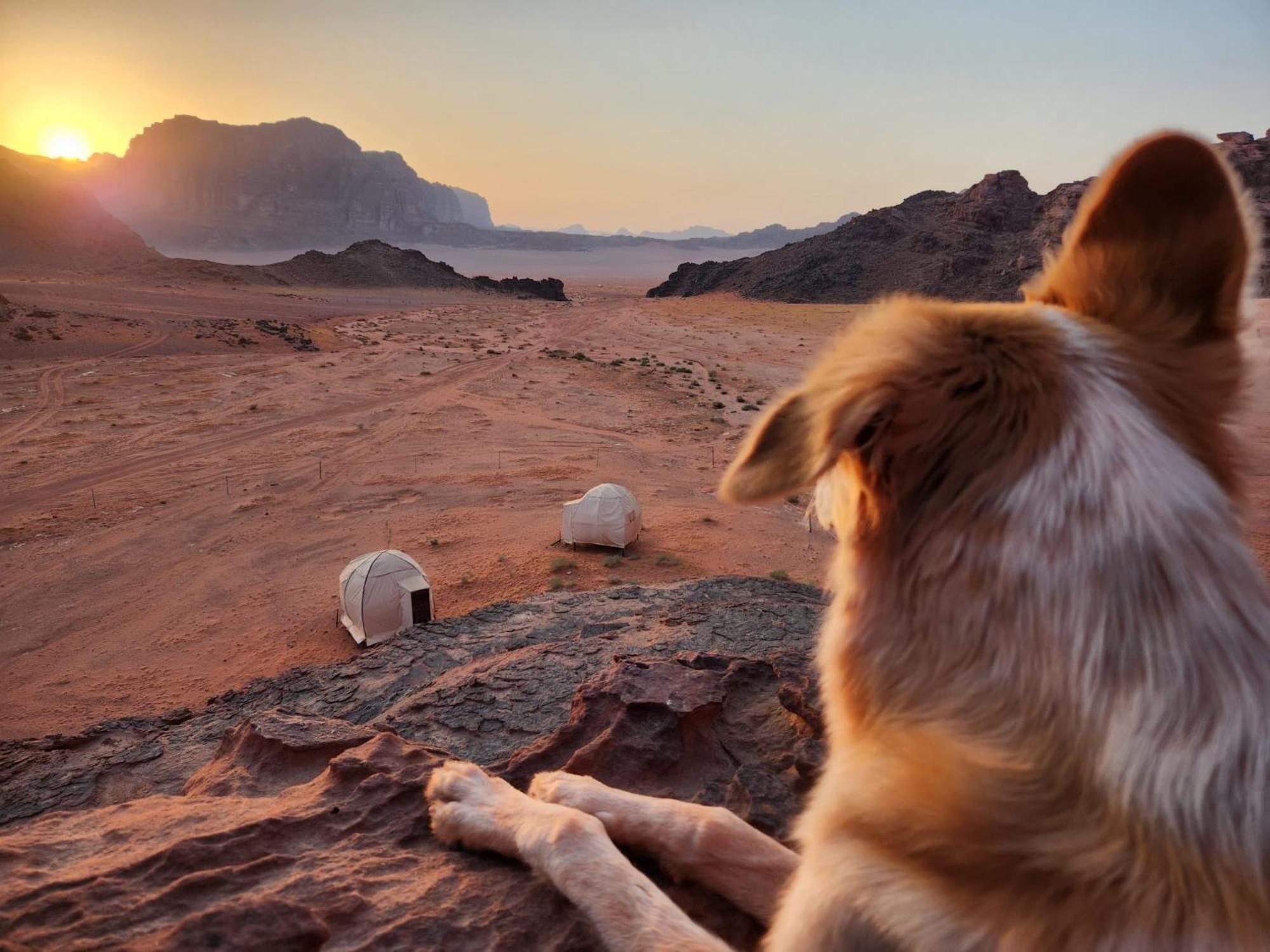Wadi Rum Bedouin Experience ภายนอก รูปภาพ