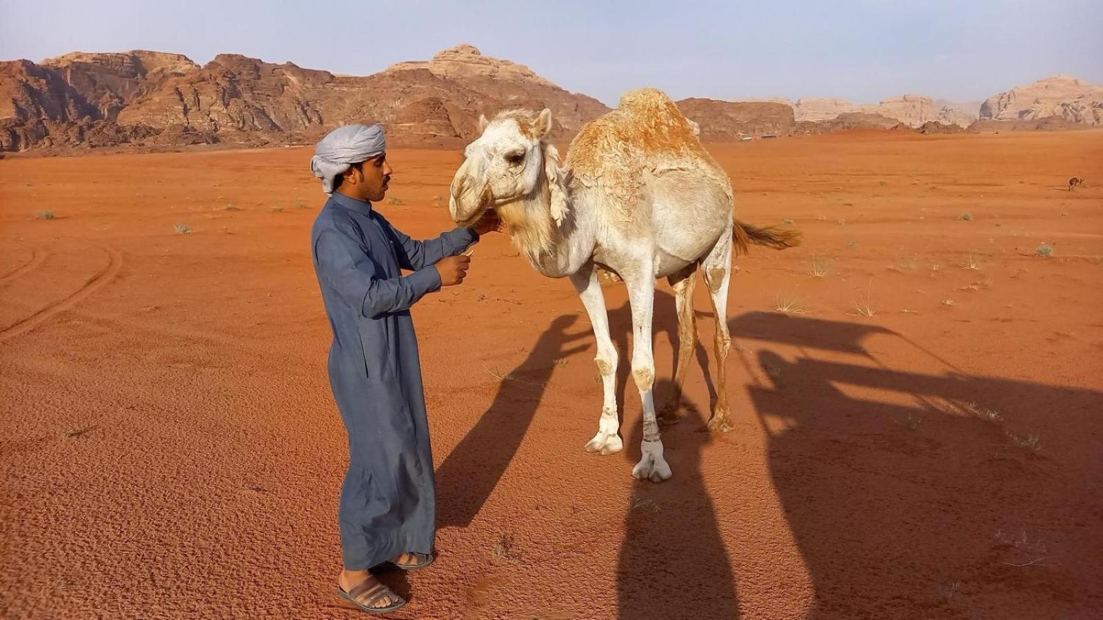 Wadi Rum Bedouin Experience ภายนอก รูปภาพ