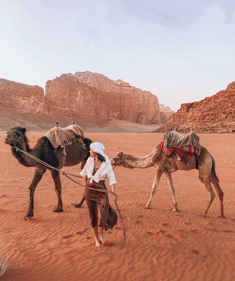 Wadi Rum Bedouin Experience ภายนอก รูปภาพ